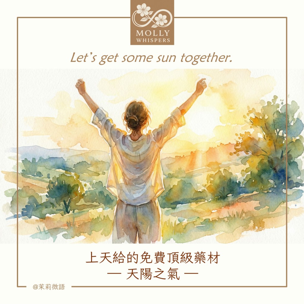 太陽是最好的補藥：曬去身之寒，喚醒心之暖